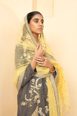 BLACK OLIVE  4PC