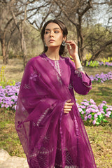 ZELLA RADIANCE 3PC