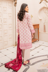 ROSY BLUSH-3PC