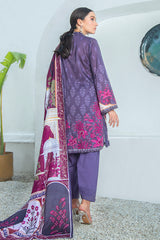 ASTRAL AURA 3PCS