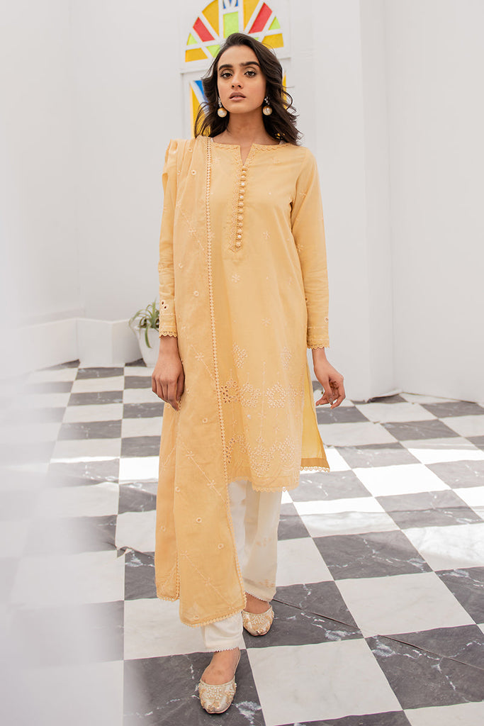 BABY BREATH-2PC (SHIRT & DUPATTA)