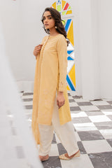 BABY BREATH-2PC (SHIRT & DUPATTA)