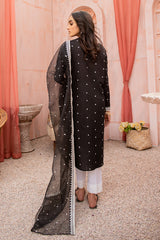 RAVEN ORNATE-2PC (SHIRT & DUPATTA)