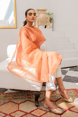 TANGERINE ORCHID 2PC