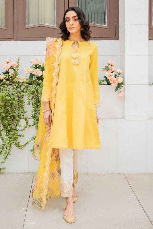 NOORI-2PC (SHIRT & DUPATTA)