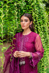 IMPERIAL PLUM 2PC