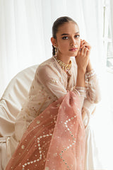 DREAMY TINT-4PC ORGANZA EMBROIDERED SUIT
