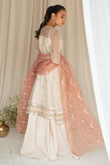 DREAMY TINT-4PC ORGANZA EMBROIDERED SUIT