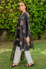 AQS-E-DASHT-2PC (SHIRT & DUPATTA)