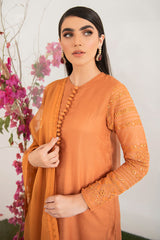 BURNT GLAZE-2PC (SHIRT & DUPATTA)