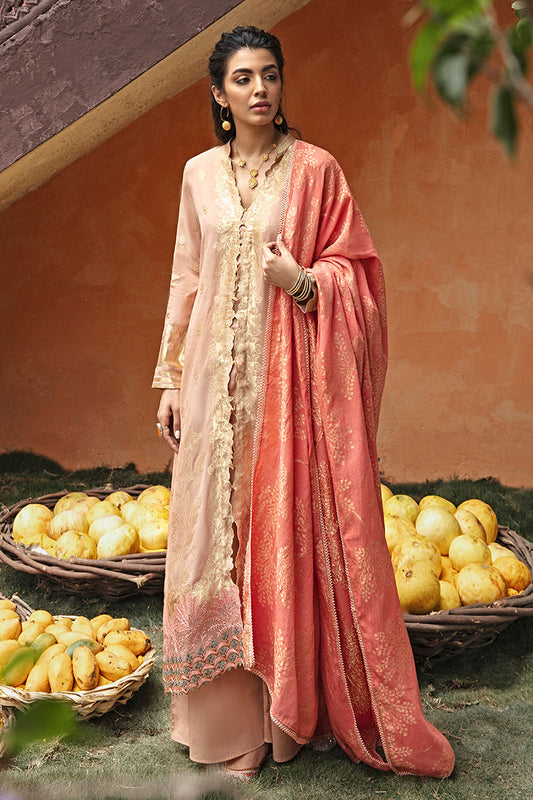 AAB-E ZAR B
