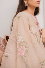 SHIRT WITH EMBROIDERED DUPATTA 2PC