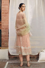 CAMEO LUSTER-4PC