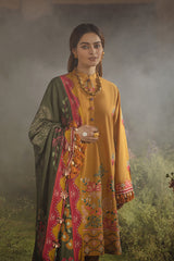 AMBER ZINNIA - 3PC