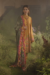 AMBER ZINNIA - 3PC