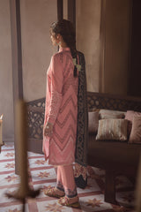 SHELL PINK - 3PC
