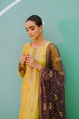 SHABNAM-2PC (SHIRT & DUPATTA)