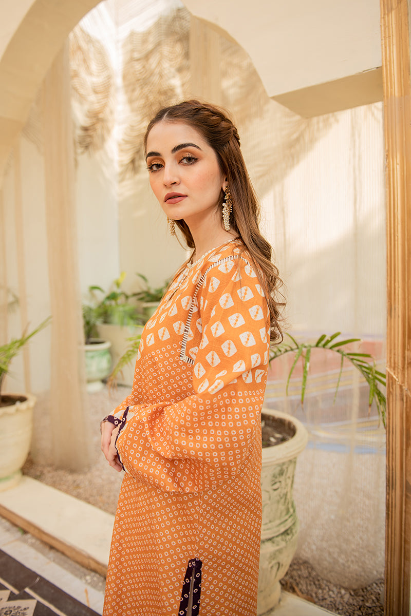 AMBER FLECK PRINTED SHIRT