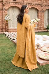 SEER ZARD-3PC