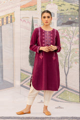 MULBERRY  ASTER