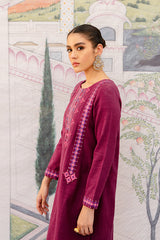 MULBERRY  ASTER