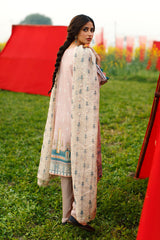 EFFLORESENCE BLUSH - EMBROIDERED LAWN - 3 PCS