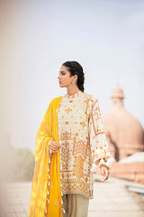 LINEAR TINT - 3 PIECE