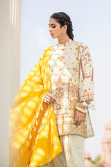 LINEAR TINT - 3 PIECE